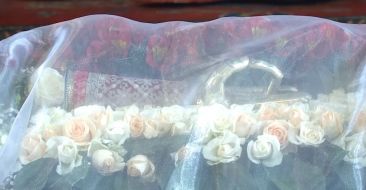 Feast of Saint Gayane and her Companions