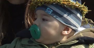 Palm Sunday in the Mother See