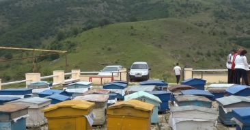 "Barnabas" Foundation Provides Support to the Border Settlements of Artsakh